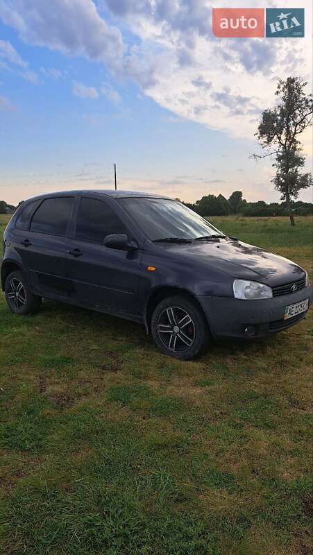 Универсал ВАЗ / Lada 1117 Калина 2008 в Павлограде