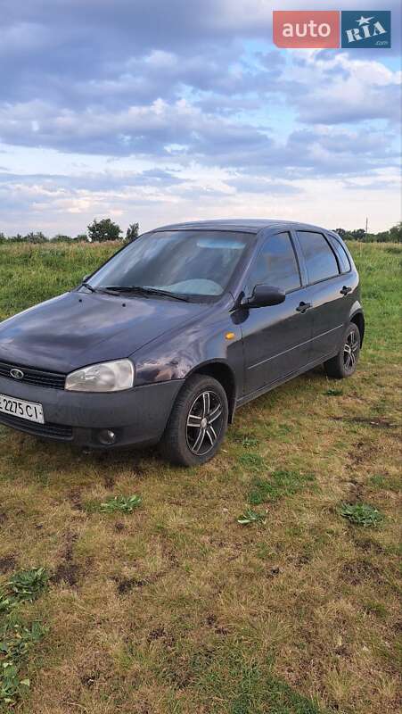 Универсал ВАЗ / Lada 1117 Калина 2008 в Павлограде