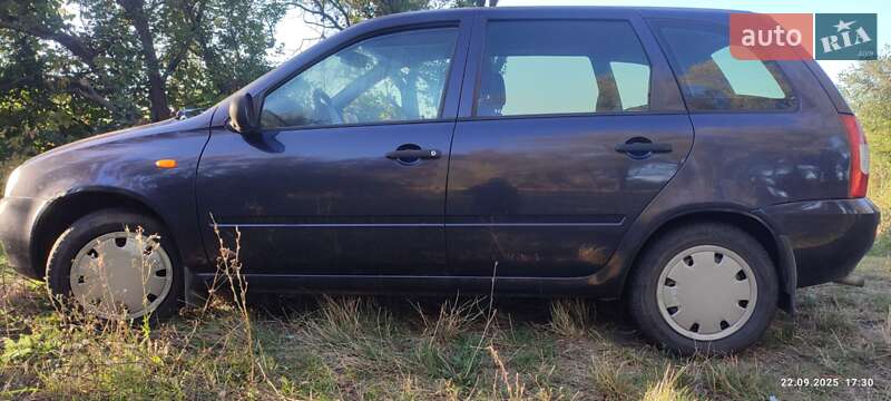 Универсал ВАЗ / Lada 1117 Калина 2008 в Верхнеднепровске