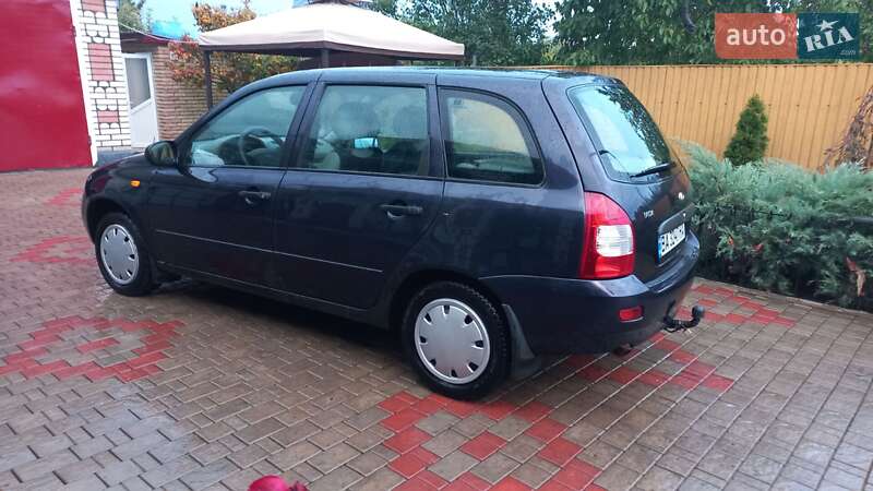 Универсал ВАЗ / Lada 1117 Калина 2008 в Врадиевке