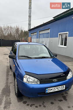 Універсал ВАЗ 1117 Калина 2009 в Чернігові