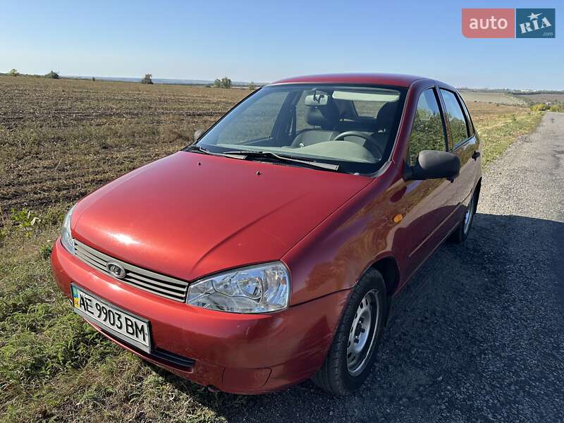 Универсал ВАЗ / Lada 1117 Калина 2007 в Днепре