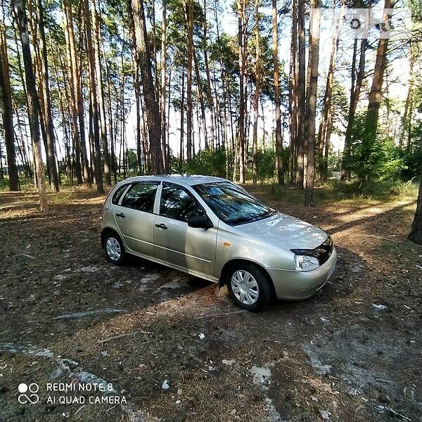 Хэтчбек ВАЗ / Lada 1119 Калина 2008 в Чернигове