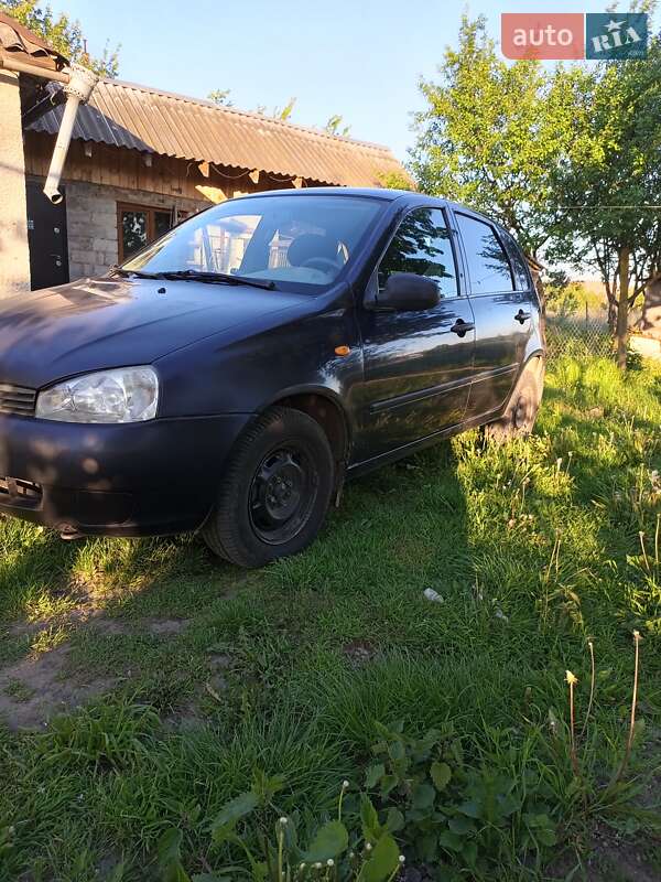Хэтчбек ВАЗ / Lada 1119 Калина 2007 в Ужгороде