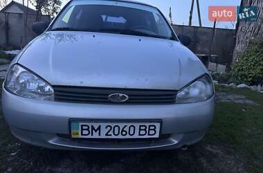 Хэтчбек ВАЗ 1119 Калина 2009 в Ромнах