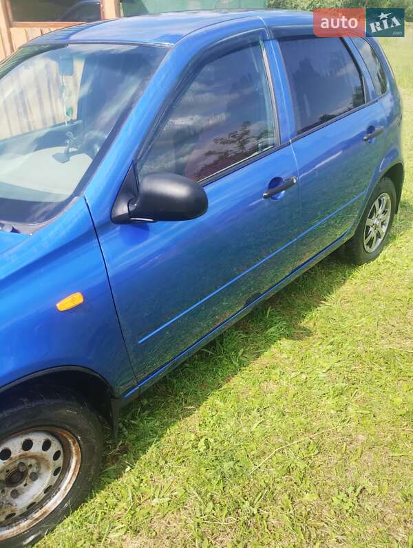 Хэтчбек ВАЗ / Lada 1119 Калина 2007 в Олевске