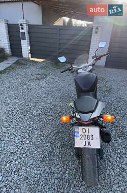 Мотоцикл Багатоцільовий (All-round) Voge 500DS 2020 в 