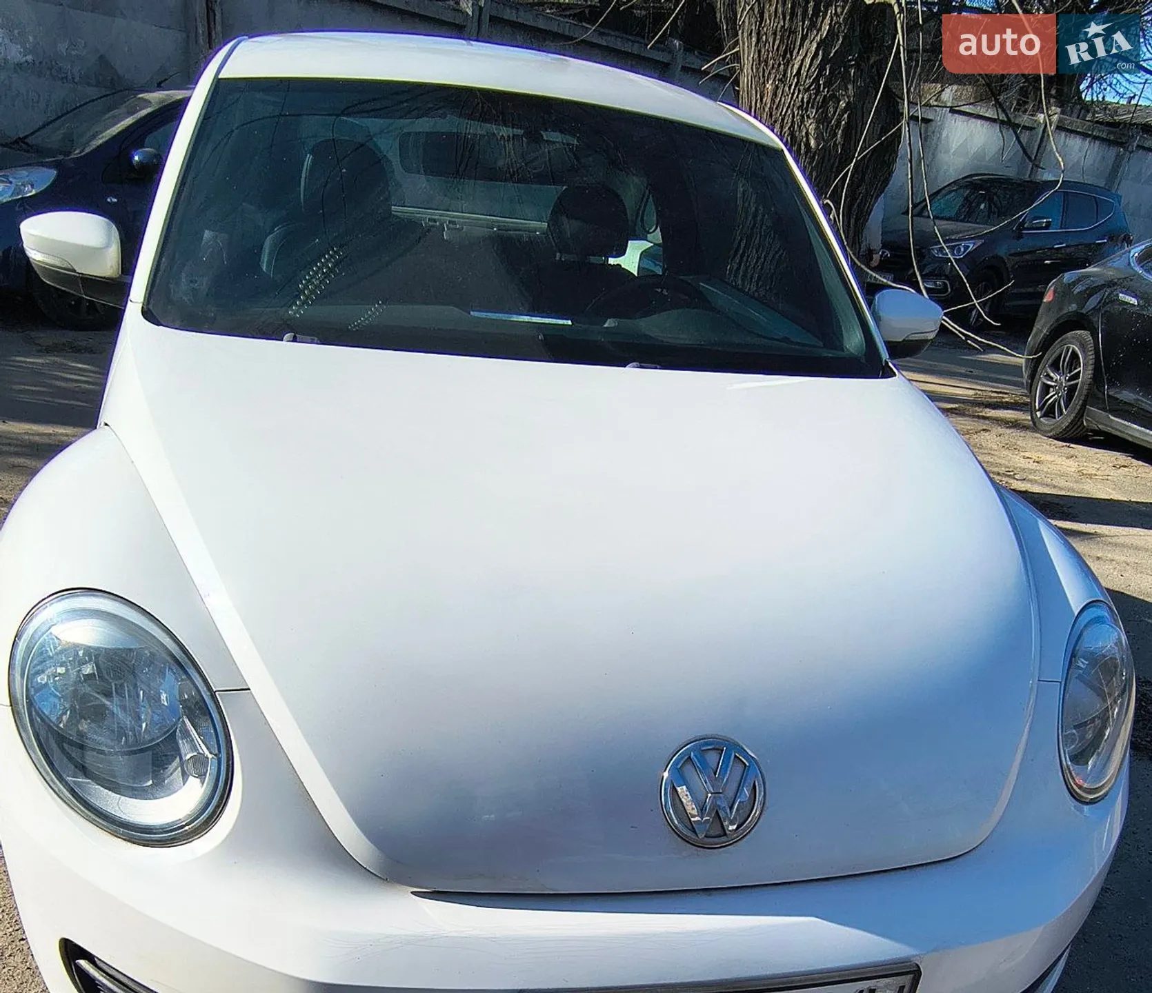2013 Volkswagen Beetle - мініатюра 5
