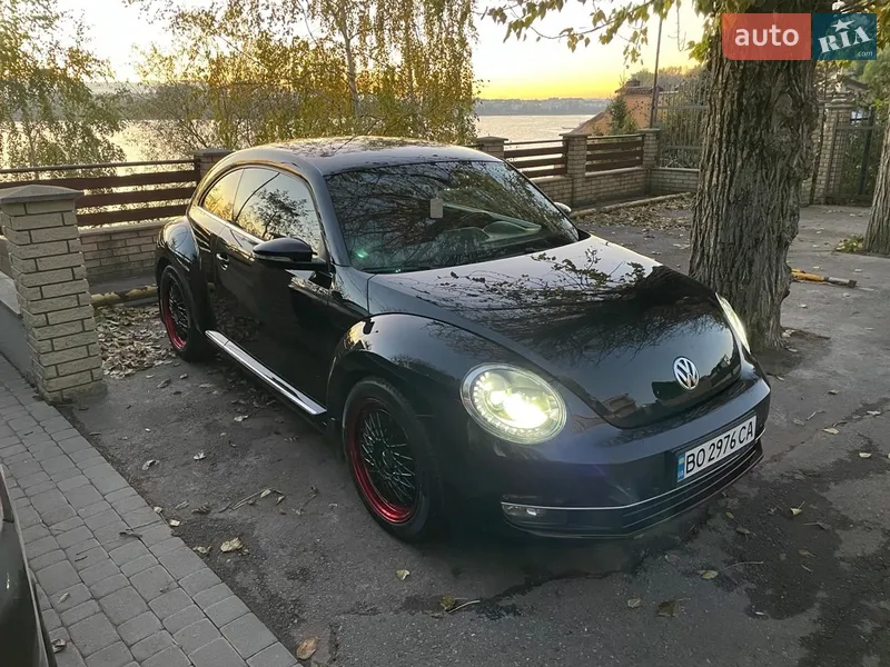 Volkswagen Beetle 2014 VIN WVWZZZ16ZEM643576 фото оголошення 4 з 66