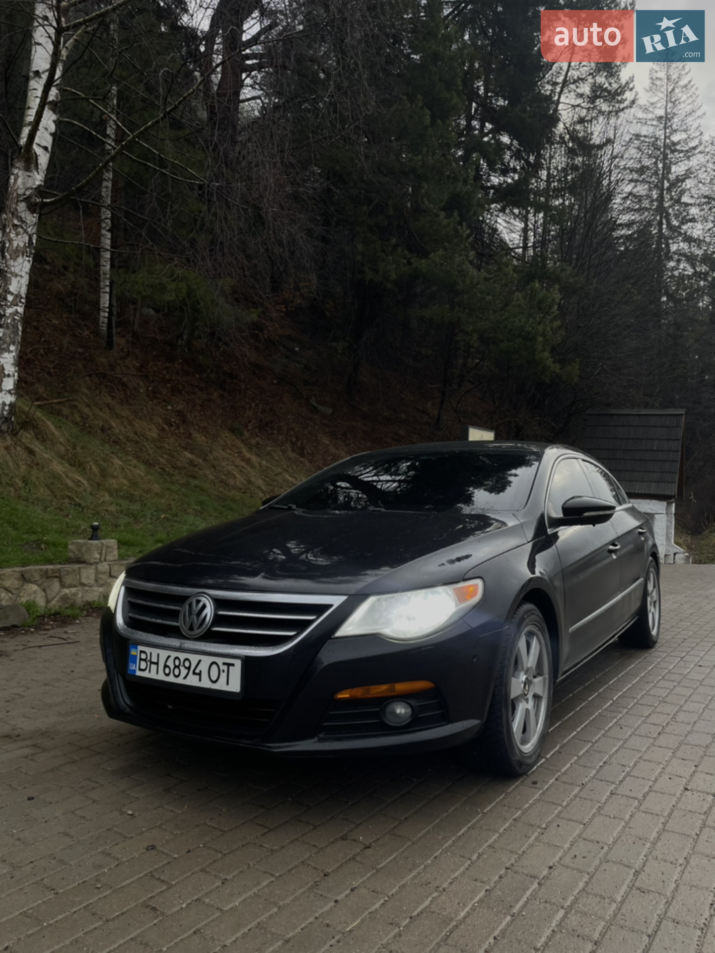 2010 Volkswagen Passat CC - мініатюра 26