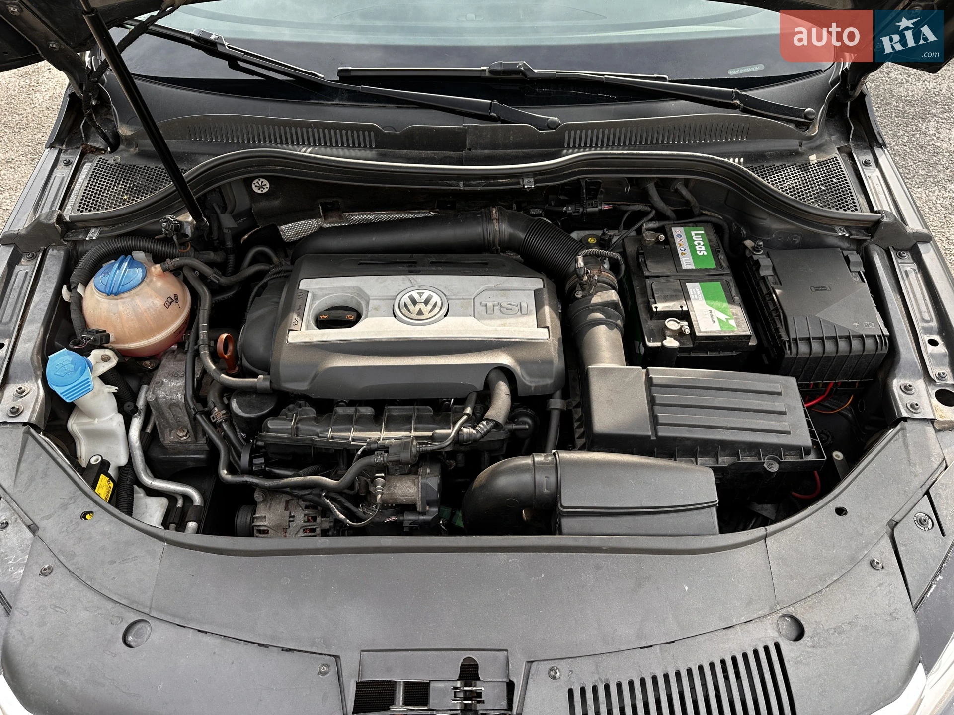 2012 Volkswagen Passat CC - мініатюра 13
