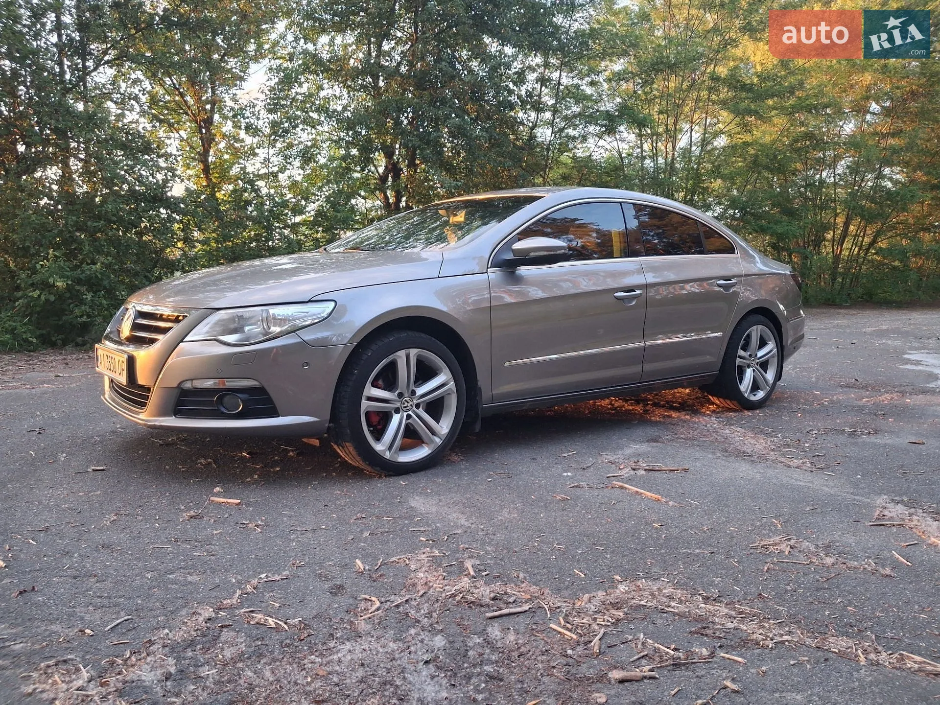 2010 Volkswagen Passat CC - мініатюра 9