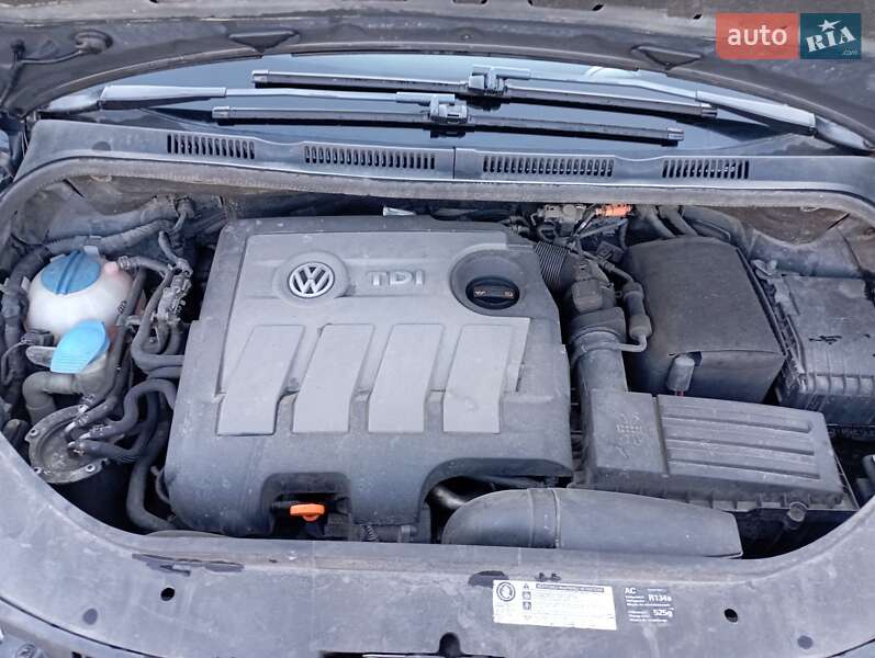 Хетчбек Volkswagen Golf Plus 2010 в Ужгороді