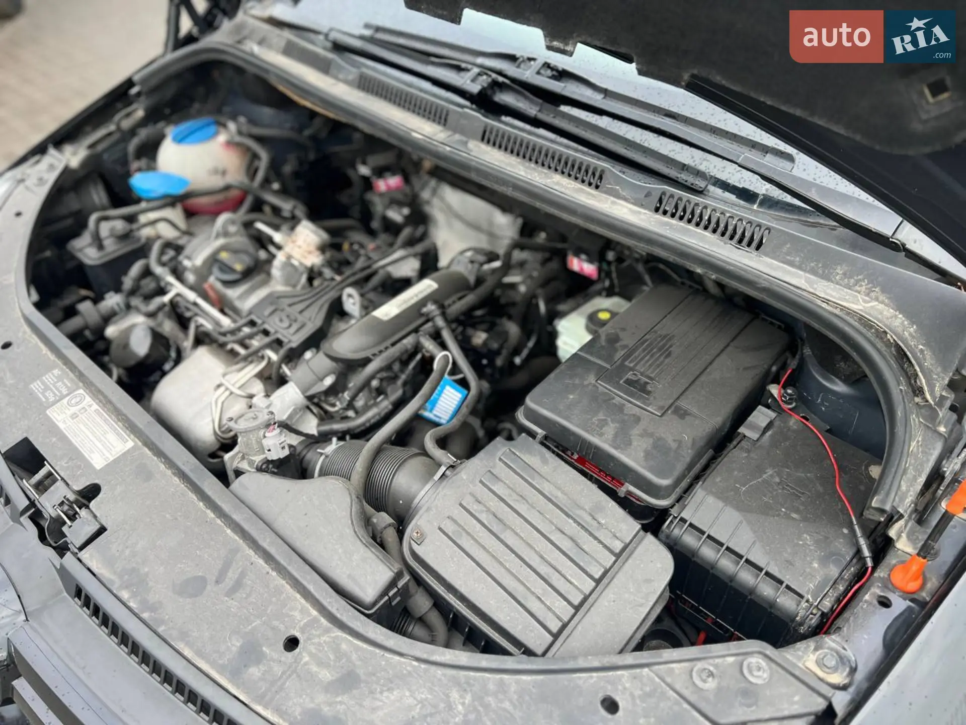 2010 Volkswagen Golf Plus - мініатюра 36