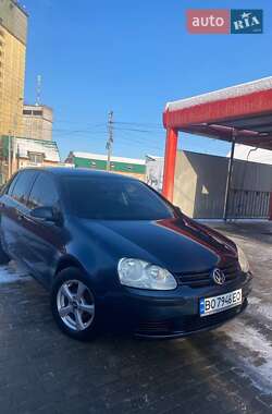 Хетчбек Volkswagen Golf 2004 в Кременці