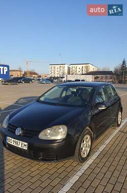 Хетчбек Volkswagen Golf 2004 в 