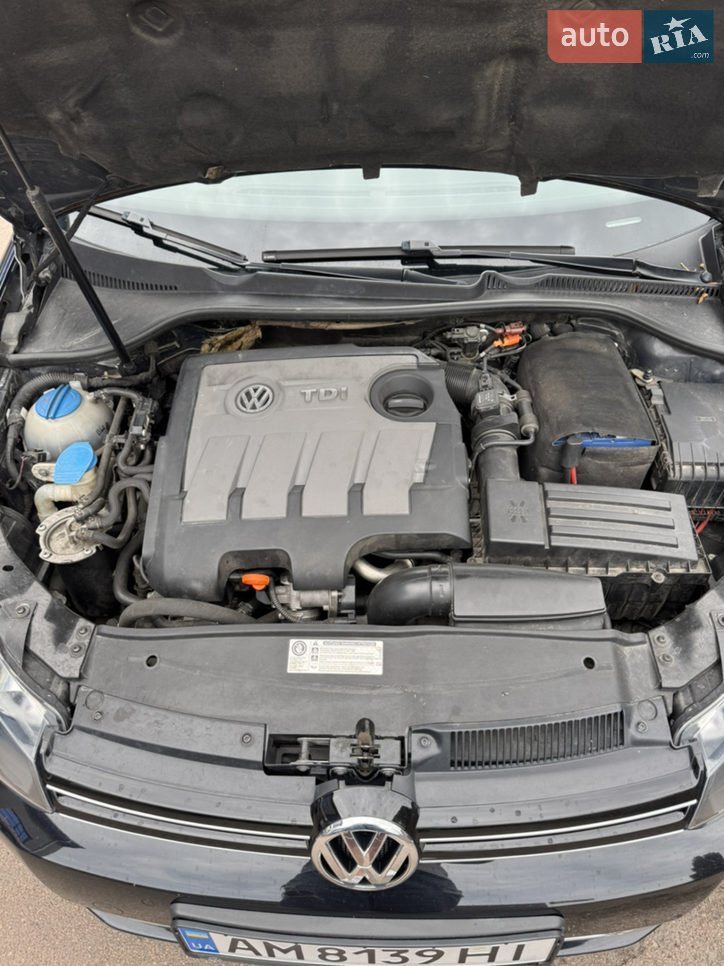 Volkswagen Golf 2010 VIN WVWZZZ1KZAM689433 фото оголошення 24 з 25