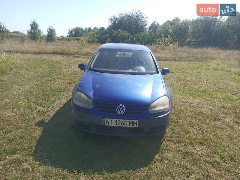 Хетчбек Volkswagen Golf 2004 в Бердичеві