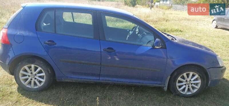 Хетчбек Volkswagen Golf 2004 в Бердичеві