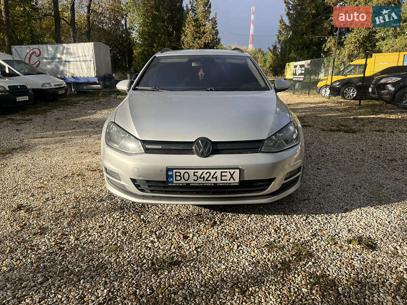 Volkswagen Golf 2013 Volkswagen Golf 2013