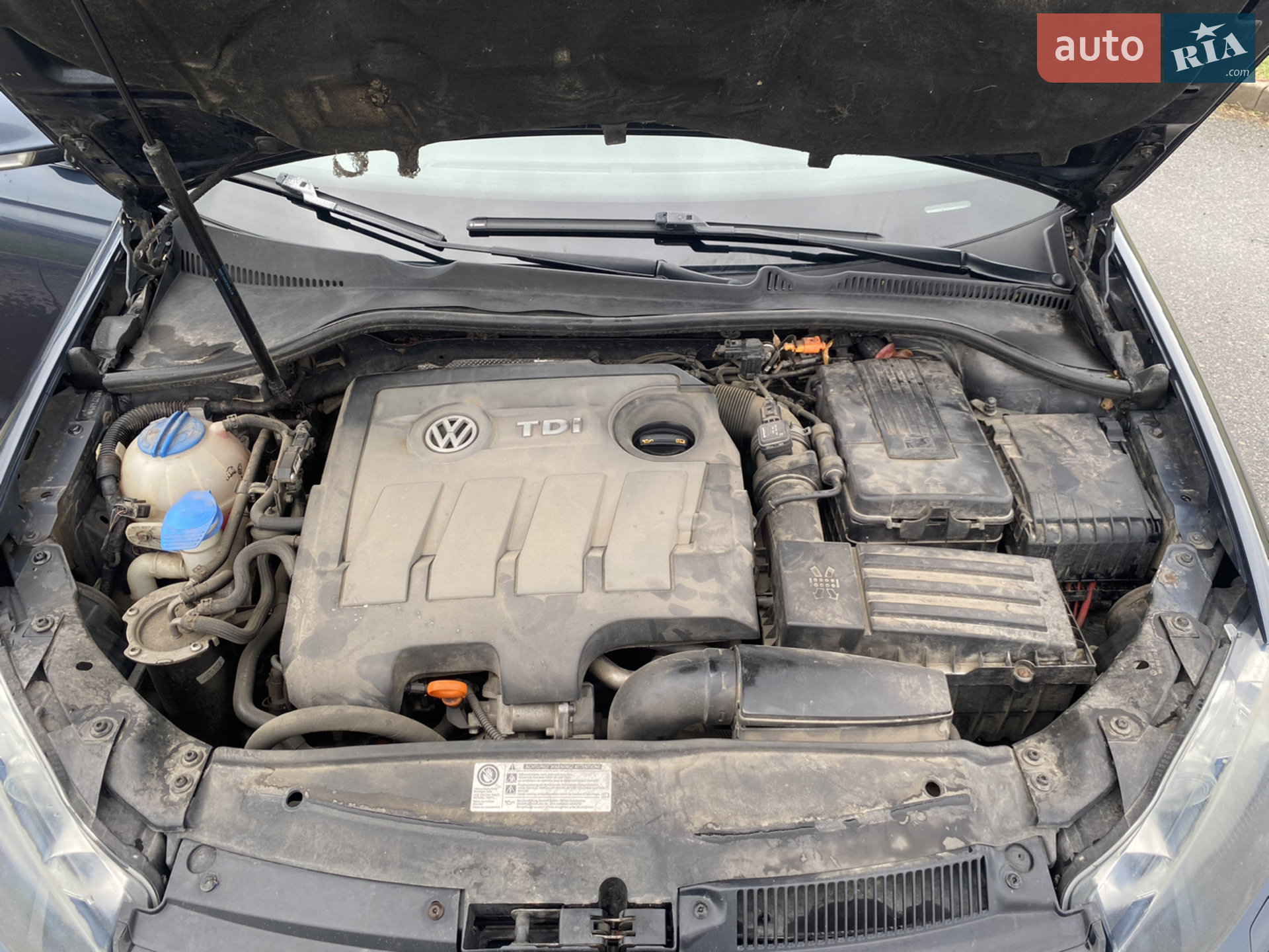 Volkswagen Golf 2010 VIN WVWZZZ1KZAM627439 фото оголошення 19 з 25