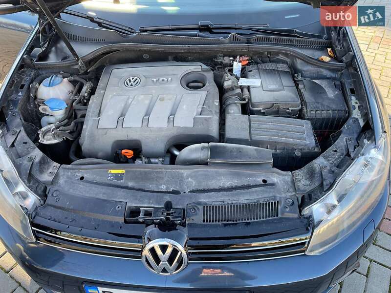 Хэтчбек Volkswagen Golf 2011 в Золочеве