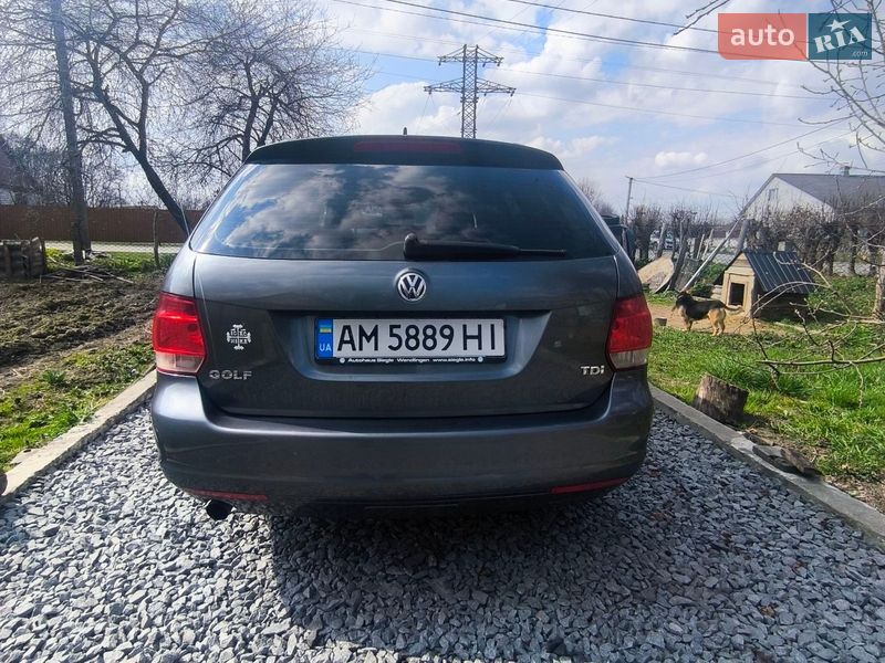 Универсал Volkswagen Golf 2009 в Звягеле