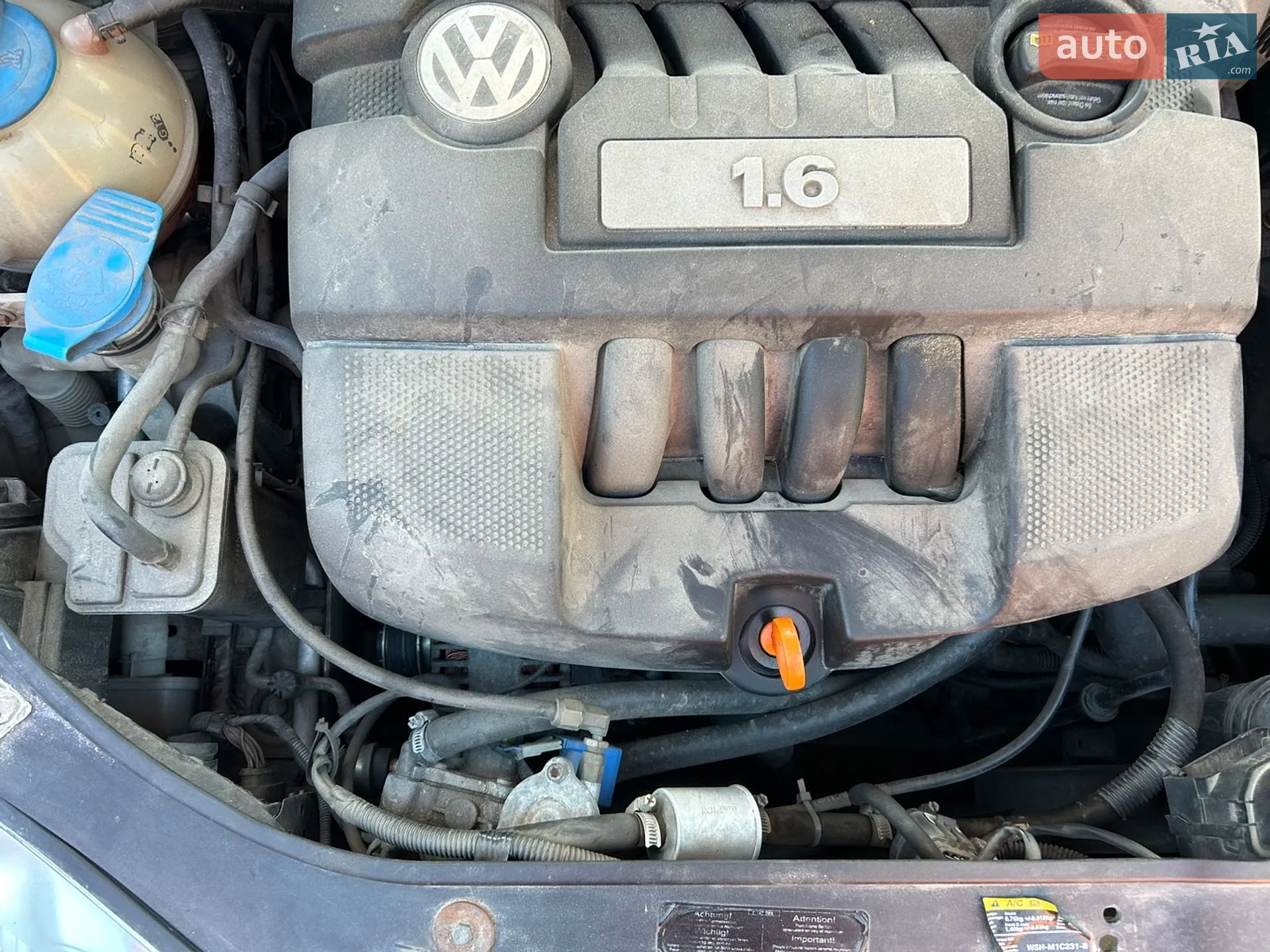 Volkswagen Golf 2006 VIN WVWZZZ1KZ7W064469 фото оголошення 2 з 5