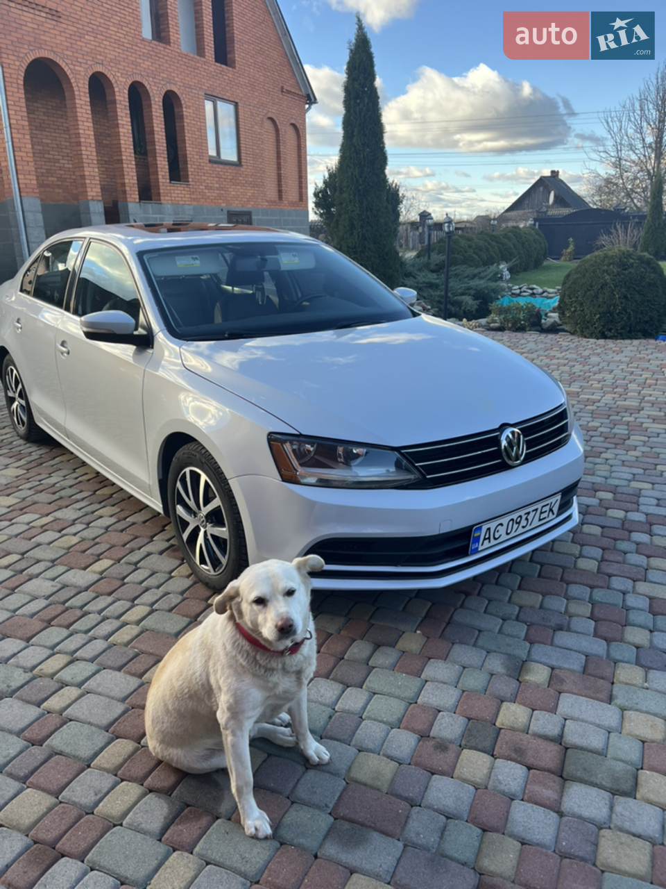 2016 Volkswagen Jetta - мініатюра 19