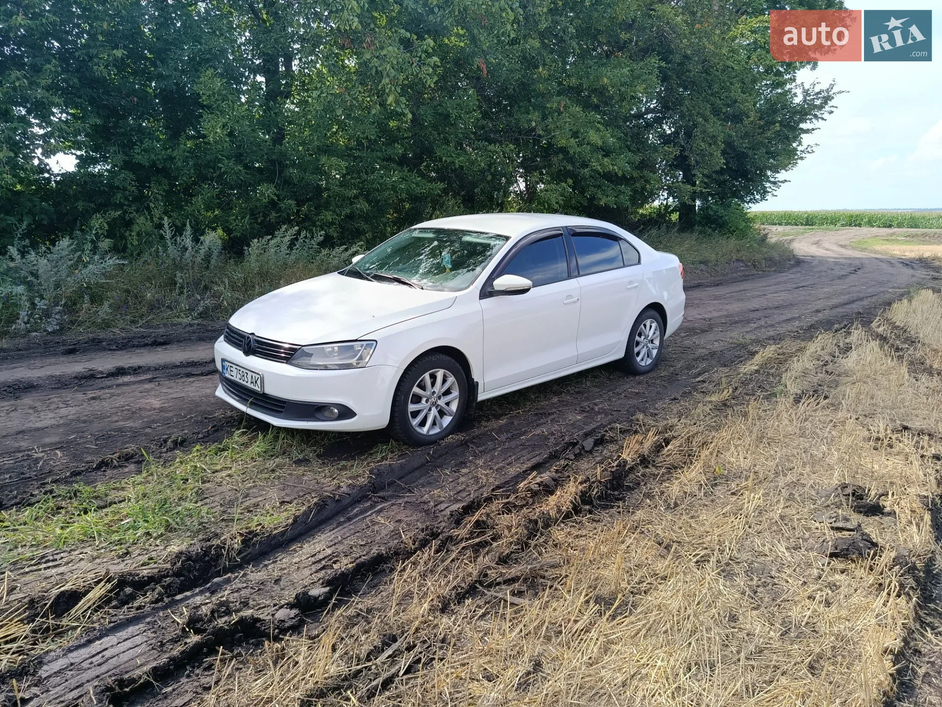 2012 Volkswagen Jetta - мініатюра 13