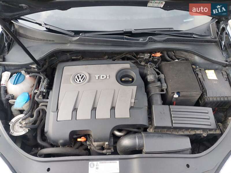 Седан Volkswagen Jetta 2009 в Новоукраїнці фото 58 Седан Volkswagen Jetta 2009 в Новоукраїнці