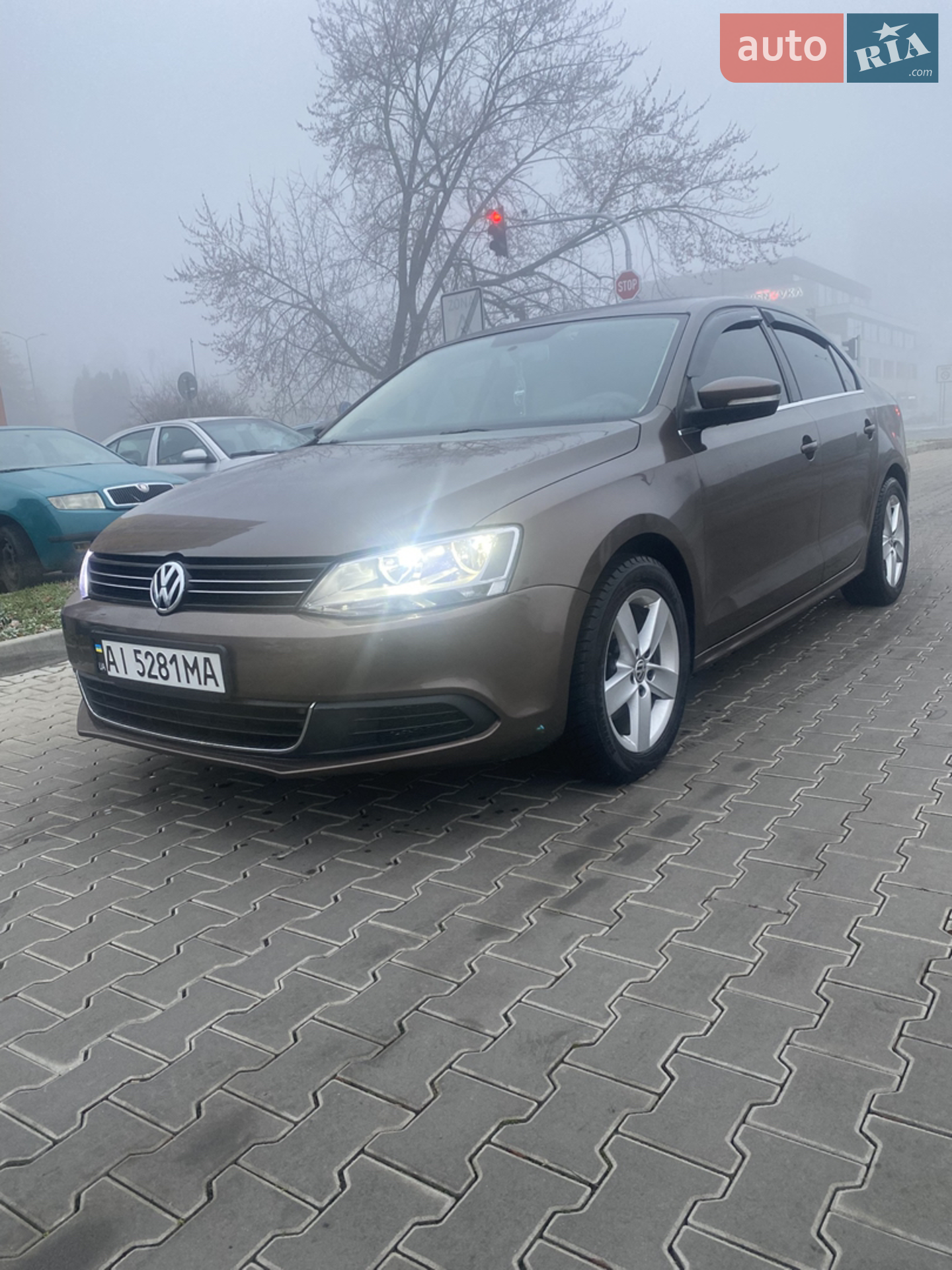 2013 Volkswagen Jetta - фото 1