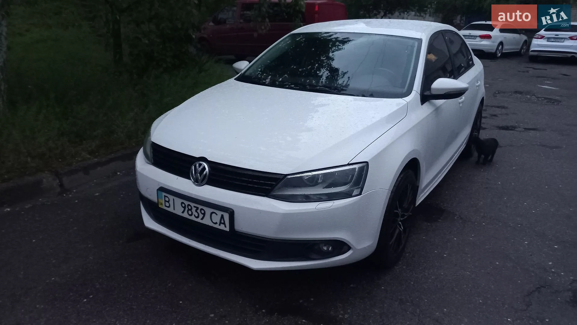 2012 Volkswagen Jetta - мініатюра 11