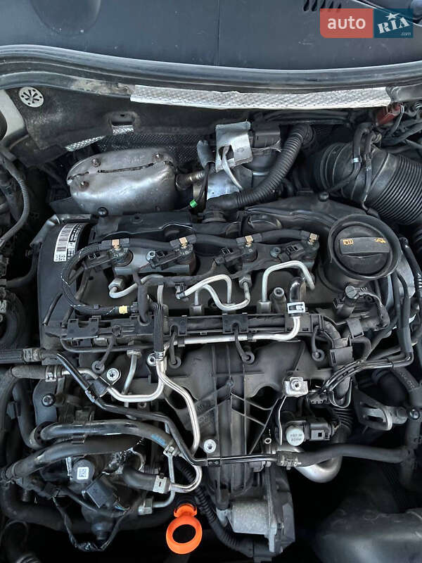 Универсал Volkswagen Passat 2011 в Звягеле