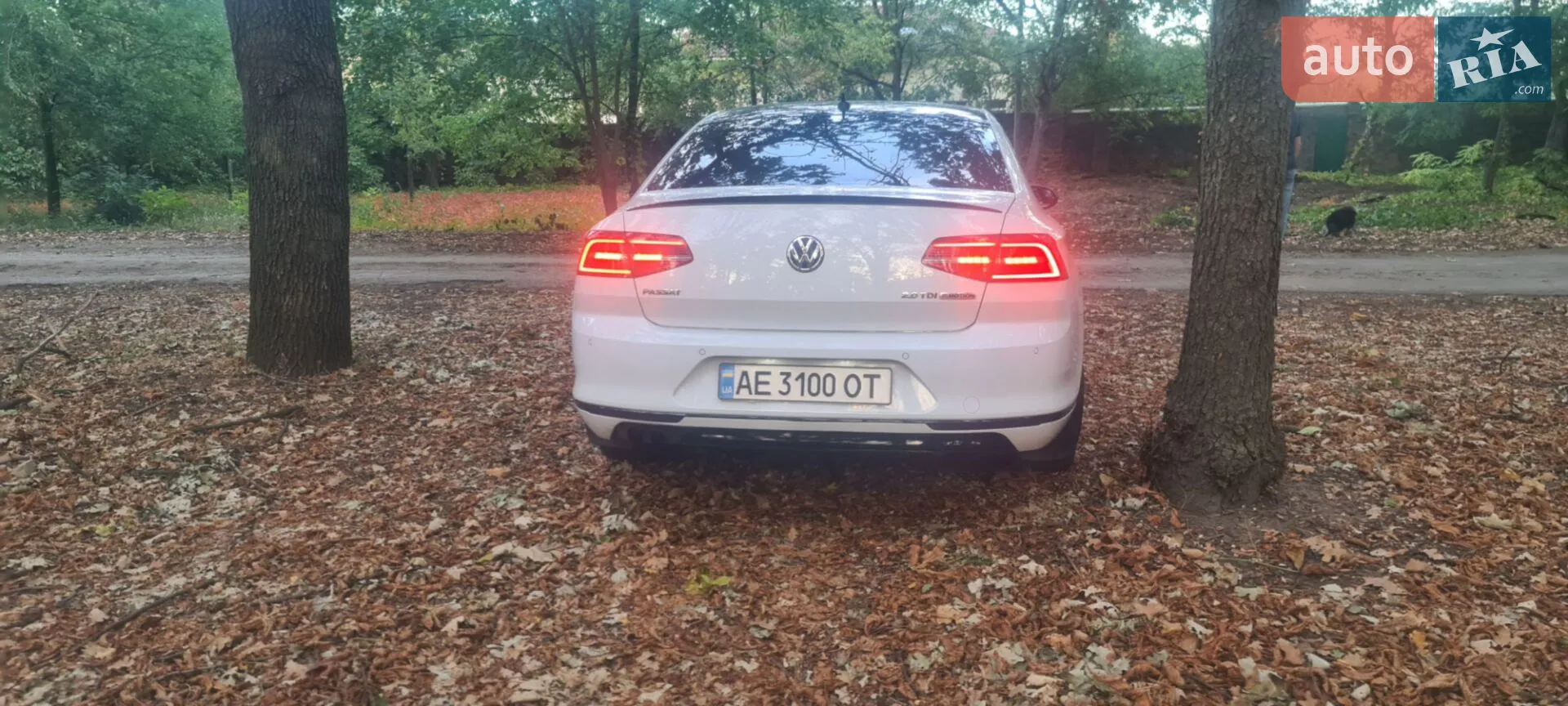 2015 Volkswagen Passat - мініатюра 94