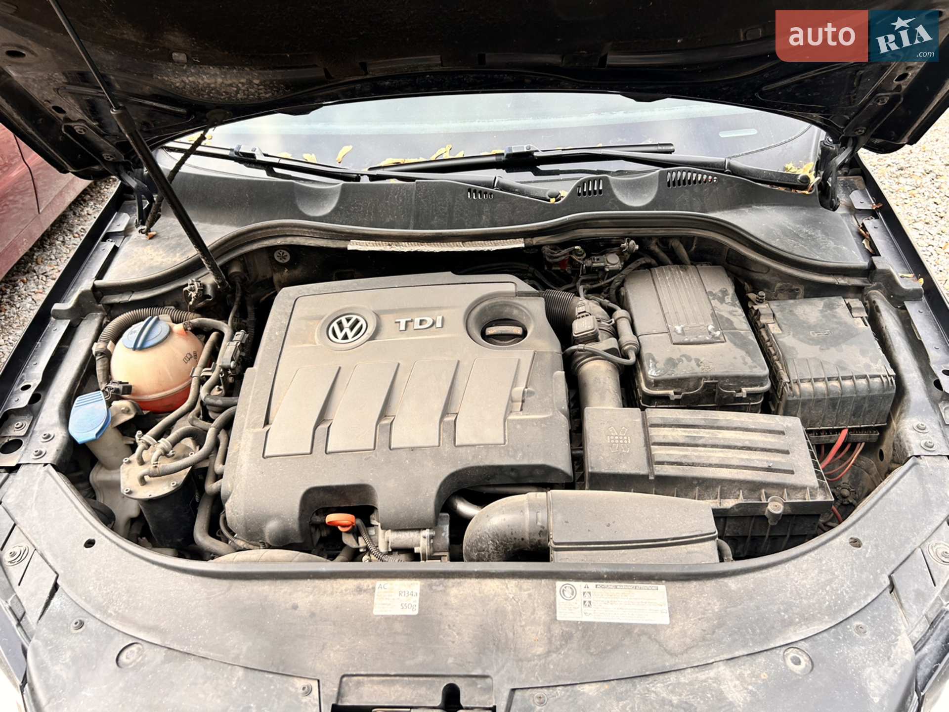 2013 Volkswagen Passat - мініатюра 19