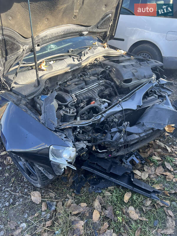 Volkswagen Passat 2008 Volkswagen Passat 2008