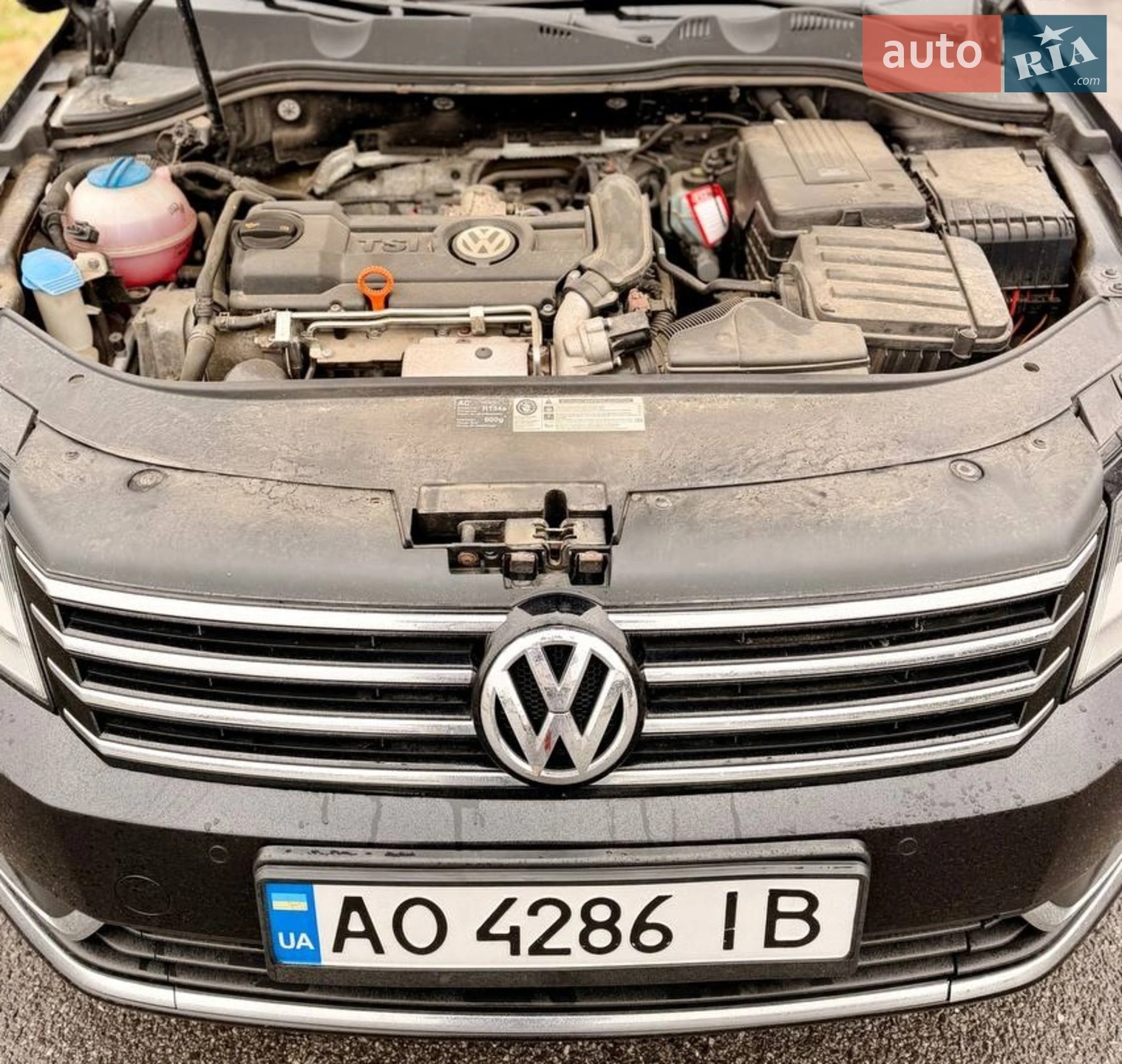 2010 Volkswagen Passat - мініатюра 7