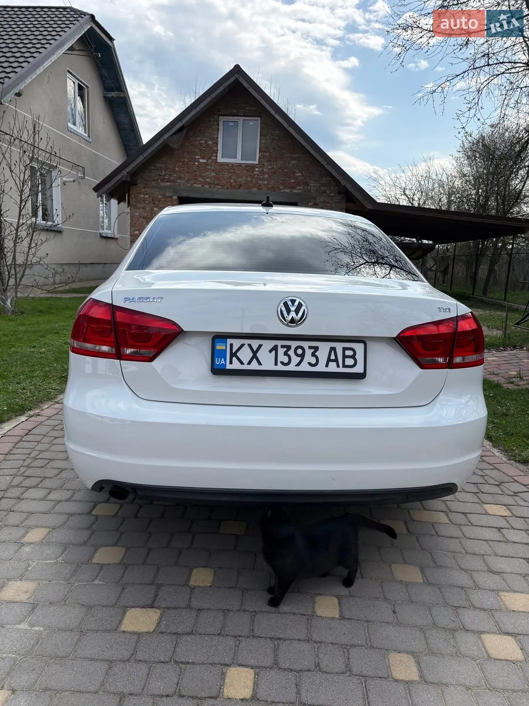 2013 Volkswagen Passat - мініатюра 13