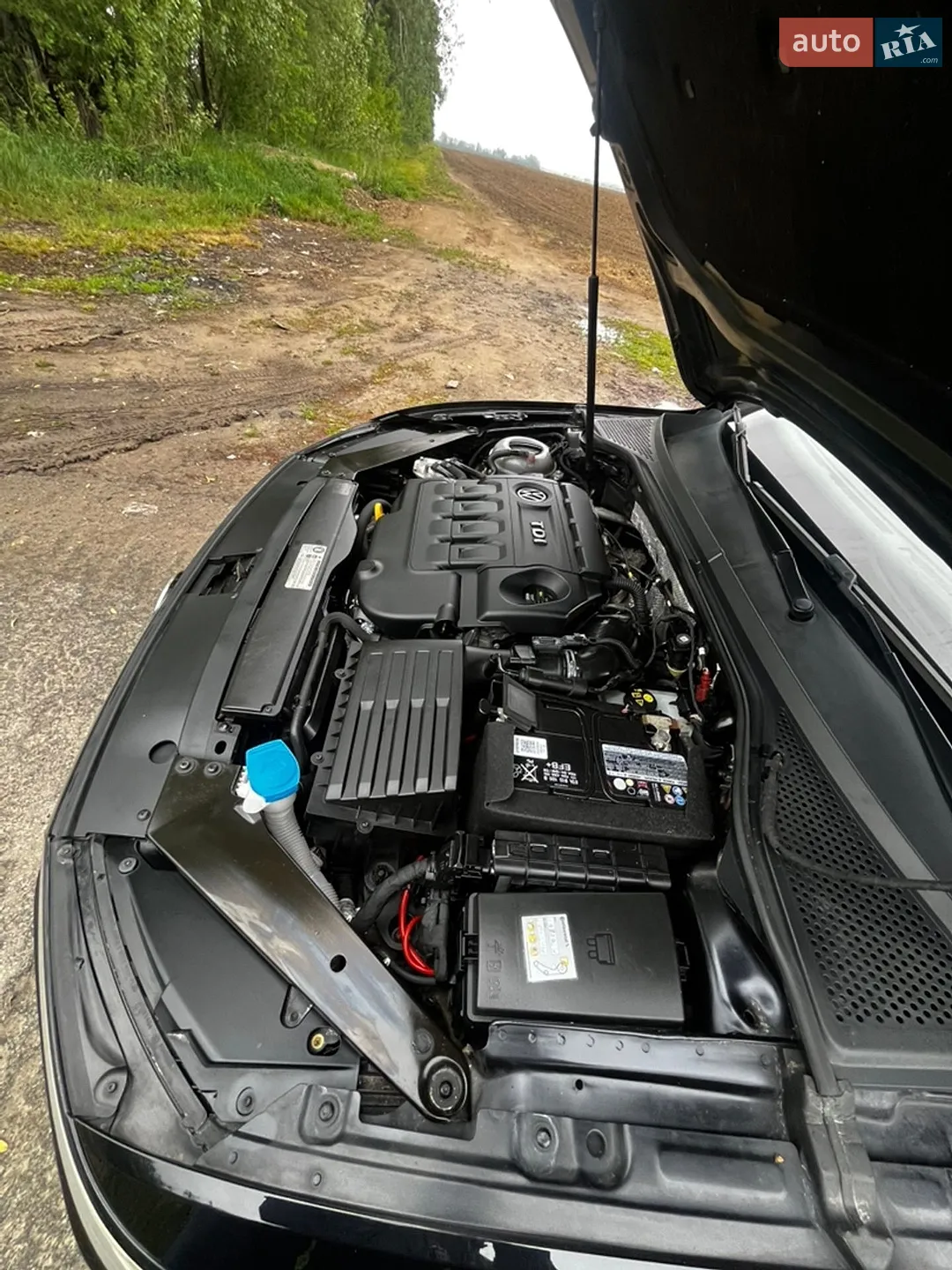 2015 Volkswagen Passat - мініатюра 28