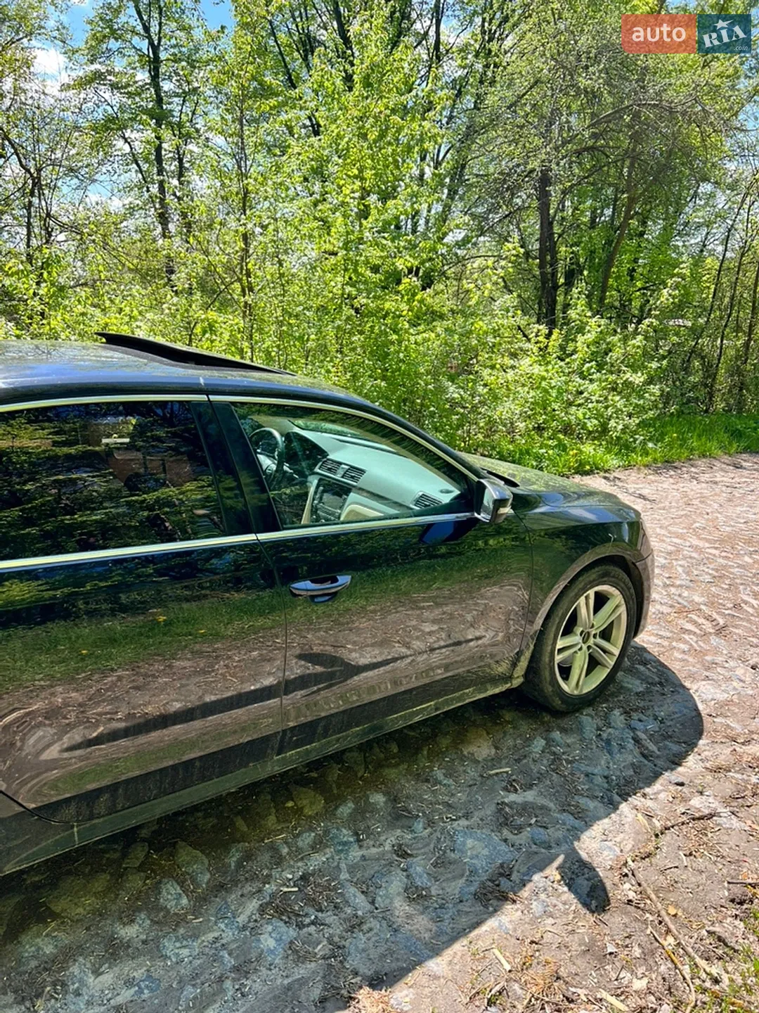 2013 Volkswagen Passat - мініатюра 8