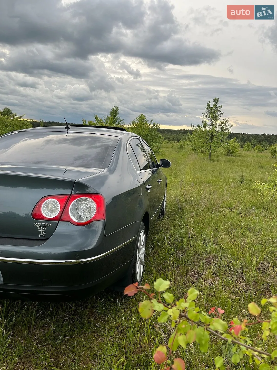 2010 Volkswagen Passat - мініатюра 23