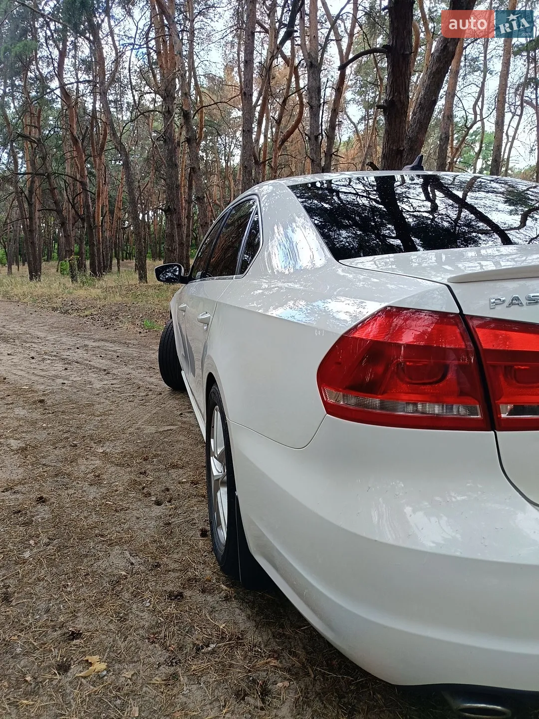 2013 Volkswagen Passat - мініатюра 6