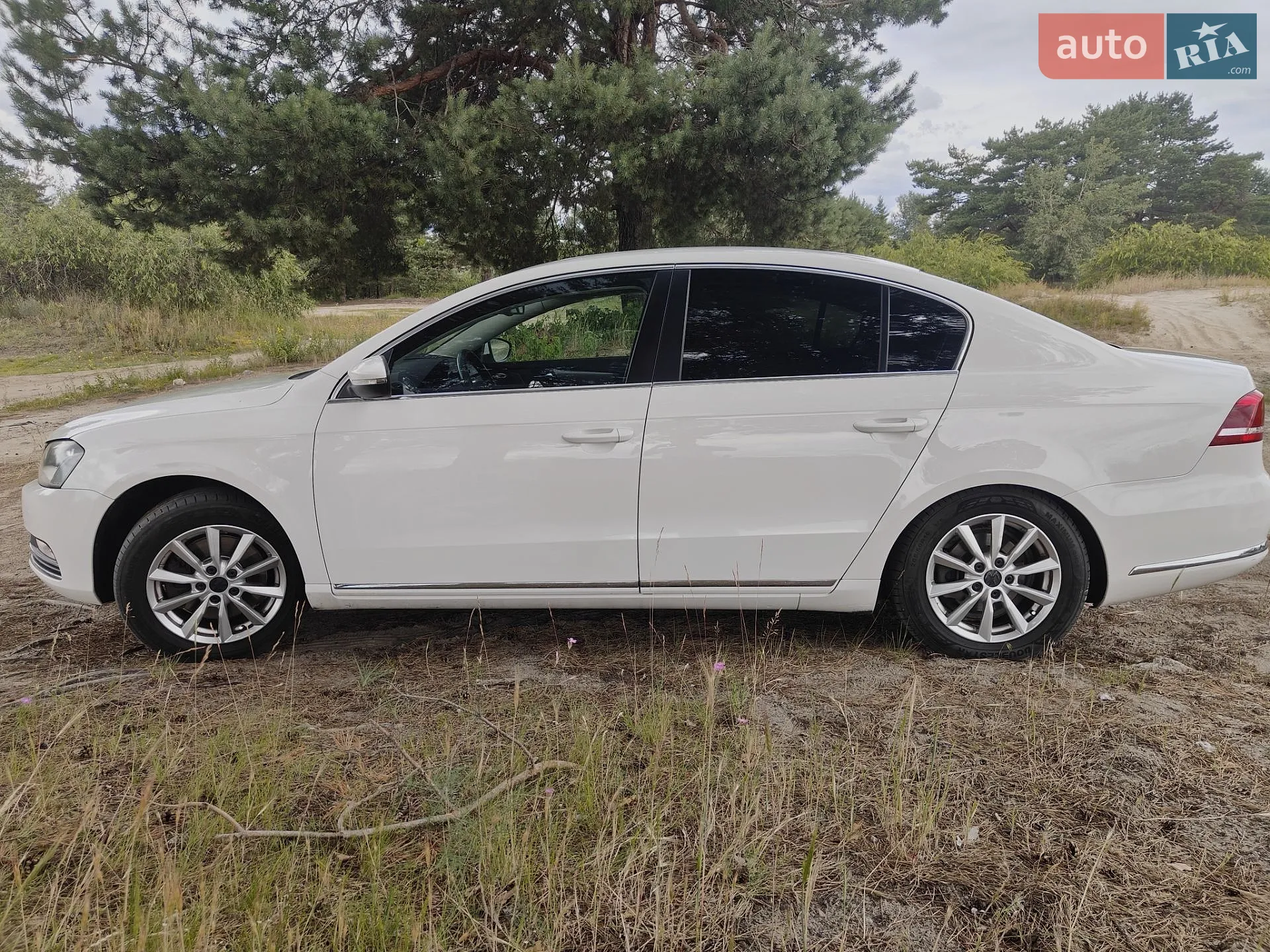 2013 Volkswagen Passat - мініатюра 10