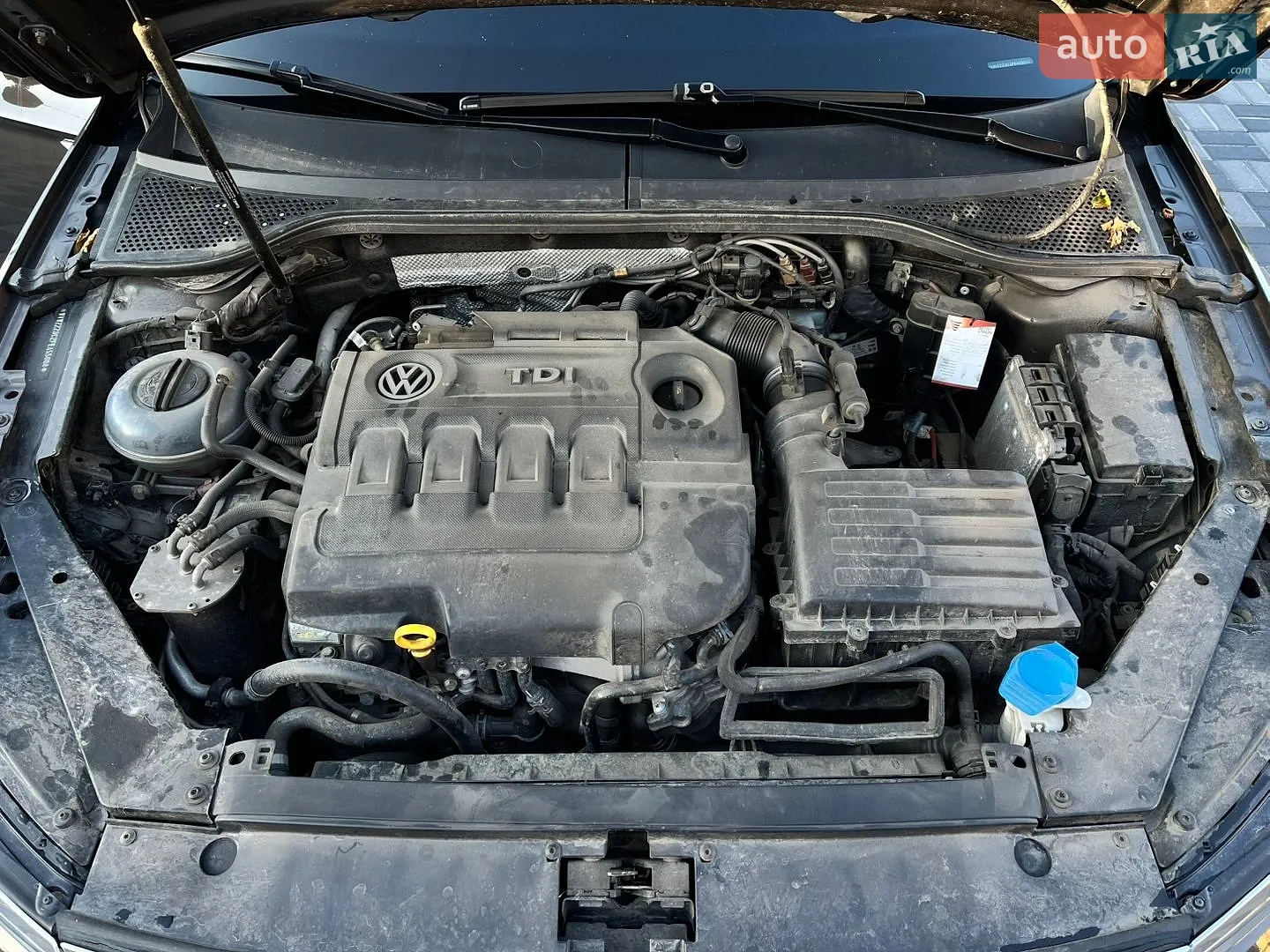 2015 Volkswagen Passat - мініатюра 19