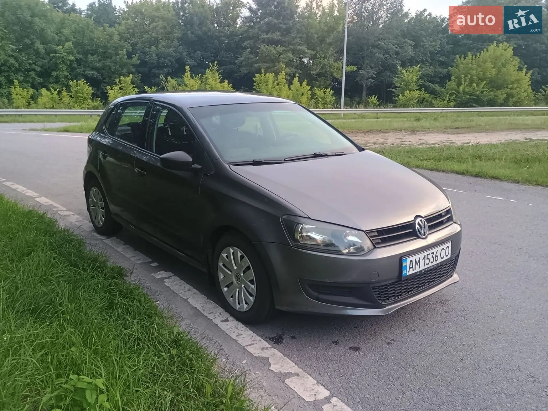 2010 Volkswagen Polo - фото 1
