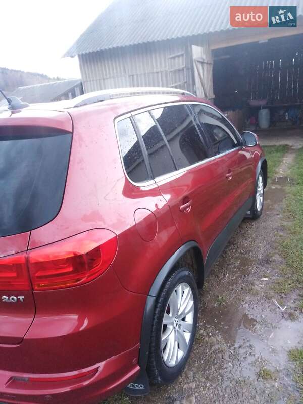 Внедорожник / Кроссовер Volkswagen Tiguan 2009 в Старом Самборе