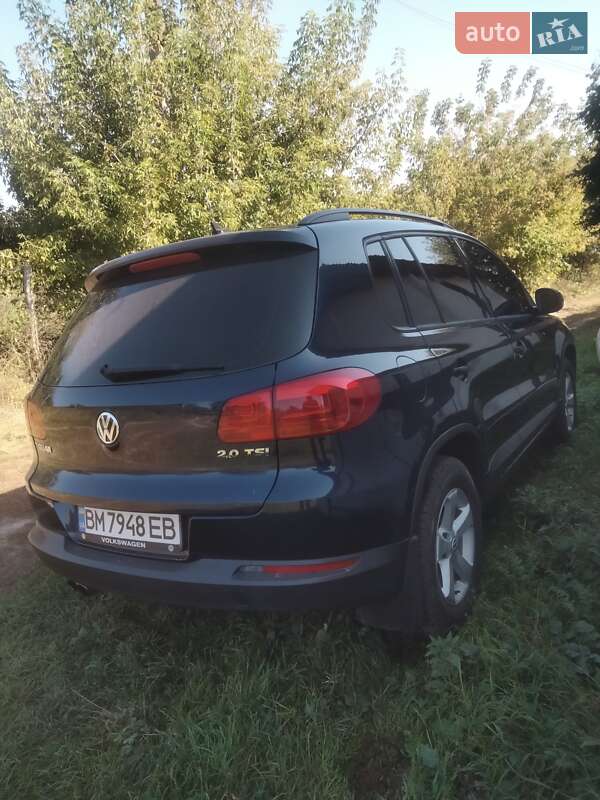 Внедорожник / Кроссовер Volkswagen Tiguan 2014 в Шостке