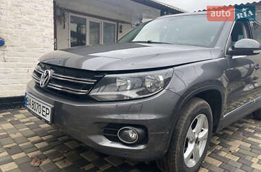 Внедорожник / Кроссовер Volkswagen Tiguan 2013 в Александрие