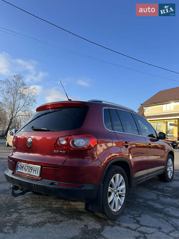 Внедорожник / Кроссовер Volkswagen Tiguan 2009 в Звягеле